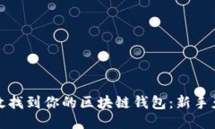 : 如何高效找到你的区块链钱包：新手免踩坑指南