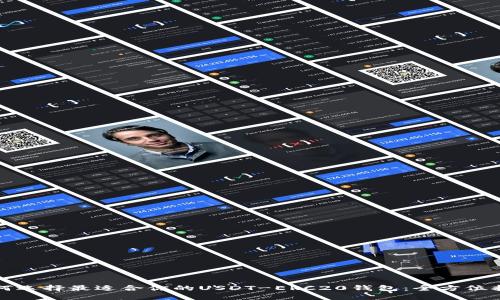 如何选择最适合你的USDT-ERC20钱包：全方位指南