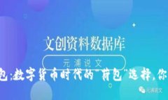 虚拟币钱包：数字货币时代的“荷包”选择，你