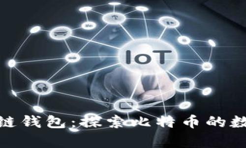 最早的区块链钱包：探索比特币的数字财富之路