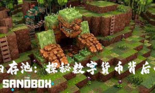 比特币钱包内存池: 探秘数字货币背后的“沙漠绿洲”