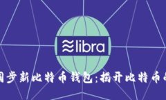 如何快速同步新比特币钱包：揭开比特币的神秘