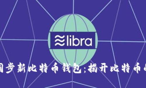 如何快速同步新比特币钱包：揭开比特币的神秘面纱