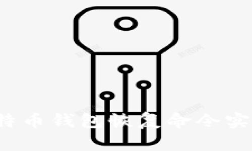 如何利用比特币钱包恢复命令实现资产找回？