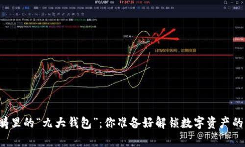 区块链范畴里的“九大钱包”：你准备好解锁数字资产的秘密了吗？