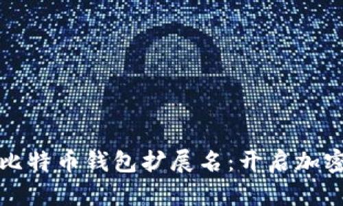 如何选择适合你的比特币钱包扩展名：开启加密资产管理的新篇章