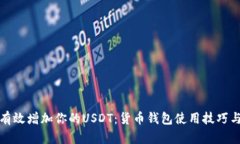 如何有效增加你的USDT：货币钱包使用技巧与策略