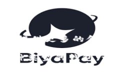 对于比特币，现在有多种钱包可供使用，每种都