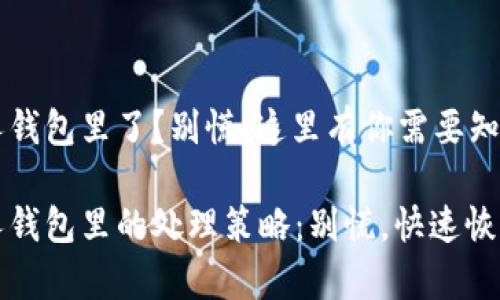 虚拟币放别人钱包里了？别慌，这里有你需要知道的一切！

虚拟币放别人钱包里的处理策略：别慌，快速恢复资产的妙招