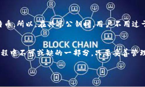 是的，比特币钱包具有公钥。公钥是用于生成比特币地址的关键部分，它属于加密算法的一部分。这里详细介绍一下比特币公钥的作用及其工作原理。

比特币公钥的定义
比特币公钥是一个由比特币用户生成的长字符串，它是通过用户的私钥派生而来的。公钥是开放的，可以共享给其他人，用于接收比特币。每个比特币地址都是从公钥生成的，因此公钥的存在是确保比特币交易能够顺利进行的必要条件。

公钥与私钥的关系
在比特币系统中，公钥和私钥是成对存在的。私钥是你用来控制和支配你持有比特币的秘密信息，而公钥则是可以分享给其他人的信息。此种加密机制的安全性在于私钥的保密性——只有持有私钥的人才能访问和控制相应的比特币。可以把私钥想象成一把锁，而公钥则是这把锁的钥匙。

如何生成公钥
生成公钥的过程实际上是通过椭圆曲线密码学（ECC）完成的。具体来说，用户会用私钥进行计算，得到与之对应的公钥。这一过程非常简单，只需通过一些数学运算，就可以得到公钥。这个公钥可以被任何人看到，但只有拥有对应私钥的人才能使用这个公钥生成的比特币。

公钥的用途
公钥的主要用途在于接收比特币。当你想要接收比特币时，你只需要将你的比特币地址（这是从公钥生成的）分享给发送方。发送方将比特币发送到你的地址时，会使用你的公钥来确认这一交易。另外，公钥也用于验证交易，以确保交易的发起者确实拥有相关的比特币，增加了系统的透明度和公正性。

公钥的安全性
尽管公钥是公开的，但它的存在并不意味着你的比特币是暴露的。由于存在私钥的保护，第三方即便拥有公钥，也无法操控你的比特币。所以，在共享公钥时，用户不用过于担心安全问题。然而，仍然建议用户采取额外的措施来保护私钥，确保比特币安全。

结论
通过对比特币公钥的理解，我们可以看到它在比特币交易中所发挥的重要作用。从生成到使用，公钥和私钥是比特币管理和交易过程中不可或缺的一部分。只要妥善管理你的私钥和公钥，你的比特币资产就能得到有效的保护，安全地进行交易。

以上就是关于比特币钱包是否有公钥的详细介绍。如果您还有其他相关问题，欢迎与我分享！