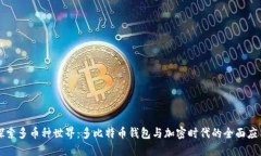 探索多币种世界：多比特币钱包与加密时代的全