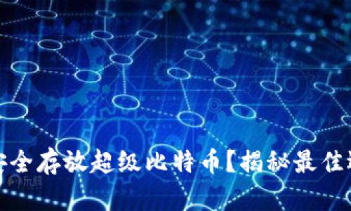 什么钱包可以安全存放超级比特币？揭秘最佳选择与流行趋势