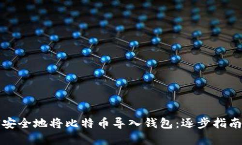 如何安全地将比特币导入钱包：逐步指南解析