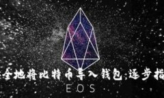 如何安全地将比特币导入钱包：逐步指南解析