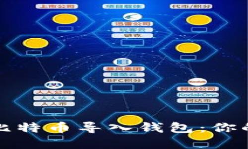 如何快速安全地将比特币导入钱包：你的数字资产保护指南