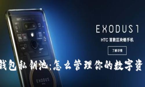 比特币钱包私钥池：怎么管理你的数字资产安全？