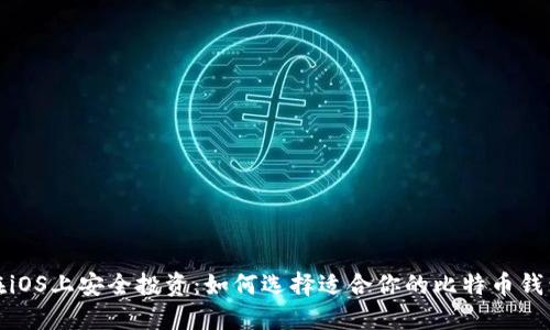在iOS上安全投资：如何选择适合你的比特币钱包