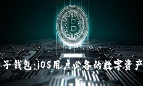 区块链电子钱包：iOS用户必备的数字资产安全护卫