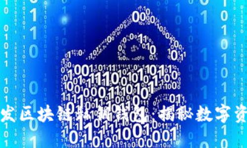 如何安全地开发区块链私钥钱包：揭秘数字资产的隐秘世界