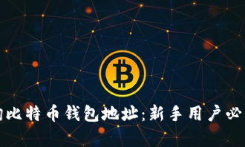 如何有效查询比特币钱包地址：新手用户必读的实用指南