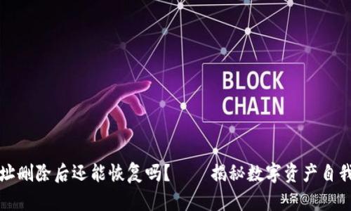 比特币钱包地址删除后还能恢复吗？——揭秘数字资产自我保护的重要性