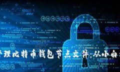 如何安全有效地管理比特币钱包节点文件：从小