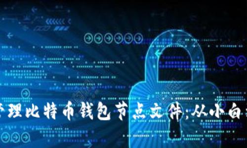 如何安全有效地管理比特币钱包节点文件：从小白到高手的完全指南