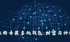 世界上比特币最多的钱包：财富与神秘的交织