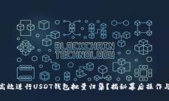 如何高效进行USDT钱包批量归集？揭秘幕后操作与