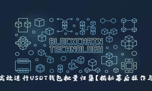 如何高效进行USDT钱包批量归集？揭秘幕后操作与风险