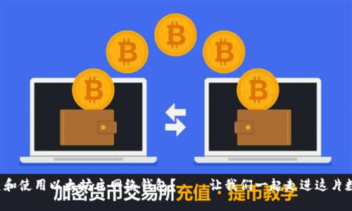 如何安全地创建和使用以太坊主网络钱包？——让我们一起走进这片数字货币的蓝海！