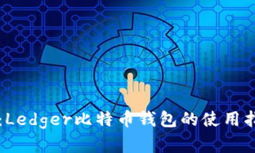 掌握数字资产：Ledger比特币钱包的使用指南与安全技巧