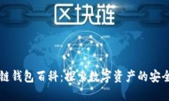 区块链钱包百科：探索数字资产的安全港湾