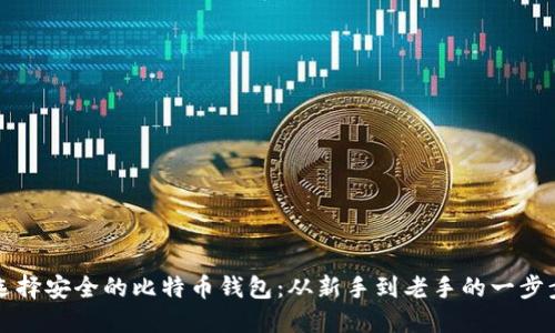 如何选择安全的比特币钱包：从新手到老手的一步步指南