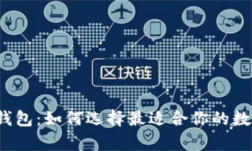 深圳最热比特币钱包：如何选择最适合你的数字货币储存工具？