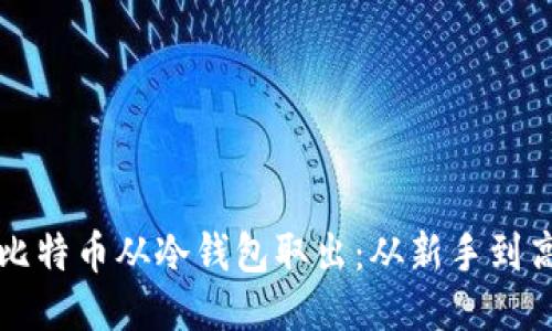 如何安全地将比特币从冷钱包取出：从新手到高手的详尽指南