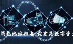 比特币交易所钱包地址排名：谁才是数字资产的