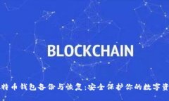 比特币钱包备份与恢复：安全保护你的数字资产