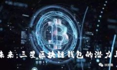 解锁未来：三星区块链钱包的潜力与挑战