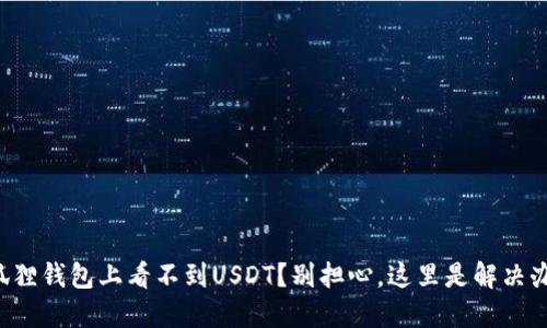 小狐狸钱包上看不到USDT？别担心，这里是解决办法！