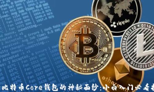 
揭开比特币Core钱包的神秘面纱：小白入门必看指南！