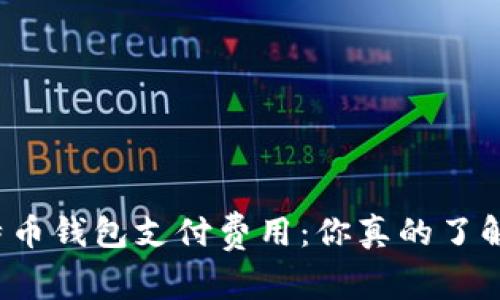 比特币钱包支付费用：你真的了解吗？