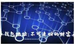 探索丢失的比特币钱包地址：不可追回的财富与