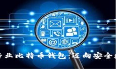 如何选择与使用专业比特币钱包：迈向安全数字