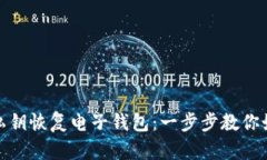 使用比特币私钥恢复电子钱包：一步步教你如何