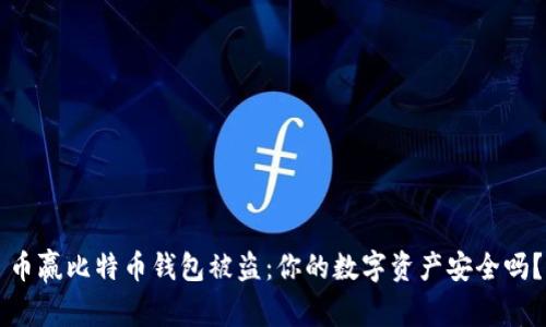 币赢比特币钱包被盗：你的数字资产安全吗？