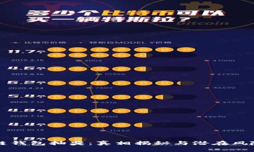 区块链钱包抽奖：真相揭秘与潜在风险分析