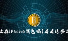 比特币可以存放在iPhone钱包吗？看看这些方法与