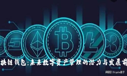 区块链钱包：未来数字资产管理的潜力与发展前景