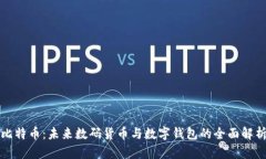 比特币：未来数码货币与数字钱包的全面解析